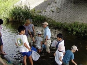 朝倉川の生き物たちを調べました