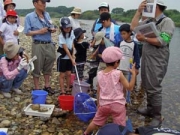 川の中の生きもの観察