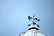 伊良湖岬灯台に留まるイソヒヨドリ