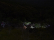 夜の湿原を観察