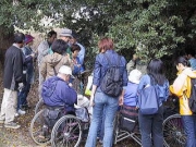 豊橋公園の森を身近に観察しました。芽生えの感動も。