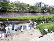 子供たちは勇んで，川の生物調査に