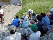 捕らえた生き物たちをしっかり学びました