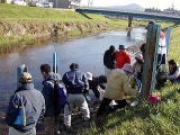 水生生物を探そう