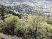 観察地点からの春の山のようす