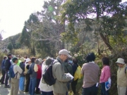 観察会の様子