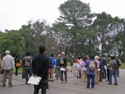 豊橋公園の樹木の観察