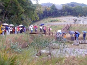 池のまわりで特定外来生物の話