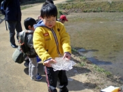 田んぼ予定地の氷