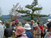 ふるさと公園の野鳥の解説