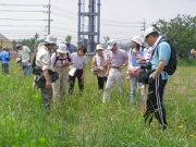 笠山広場での外来植物調査