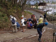 落ち葉や朽木に潜む生き物調査