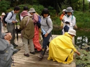 火打ち坂池の水生生物の観察