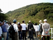 古山山麓からタカたちを観察