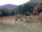 紅葉の始まった修景池