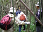 荒れた河畔林の内部