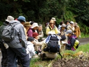 田んぼのあぜ道の観察