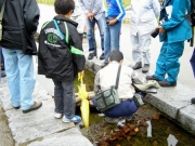 管理棟前の流れでトビケラを観察