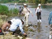 石を退けて生きもの探し