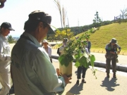 秋の七草サンプルの説明