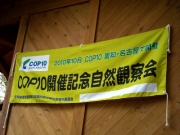 COP開催記念の旗