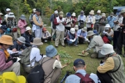 在来・帰化種別の同定会