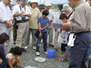 田んぼの生きもの観察