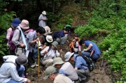 滝の下の水辺で観察