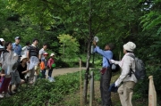 公園の樹木に仕掛けたハニートラップ