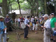 照葉樹林に説明