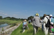 河川敷の観察