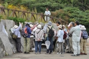 アサギマダラのマーキング会