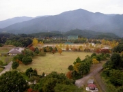 展望塔からの公園風景