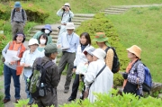 和風庭園の植物観察とトンボの話