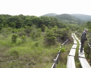 今日の湿原風景