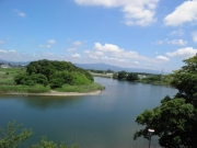 豊川と金色島