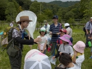 子どもたちが採取した昆虫の解説