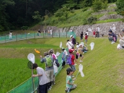 水田の周りで昆虫採取