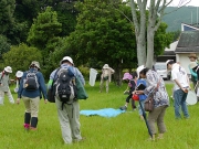 草原の昆虫調べ