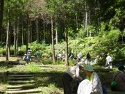 散策路内の川沿いで虫の採集