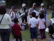 湿原の植物の解説*