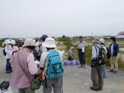 田圃の生きものの解説