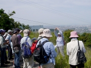 石巻山の地質解説