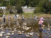 川の生き物探し