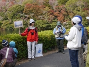 外来生物のオオクチバスの解説