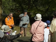 渥美半島の地形の解説