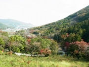 遊歩道からの景色