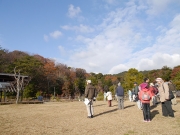 冬の装いの修景庭園周囲