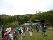 修景庭園広場で周囲の木々を観察