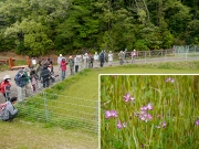 水田のゲンゲやスズメノテッポウを観察